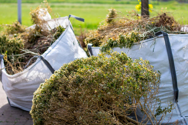 Best Household Junk Removal  in Valley Center, KS